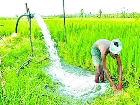 Telangana Govt To Spend Rs Crore On Agriculture