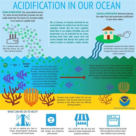 NOAA's Coral Reef Conservation Program (CRCP) - Ocean Acidification