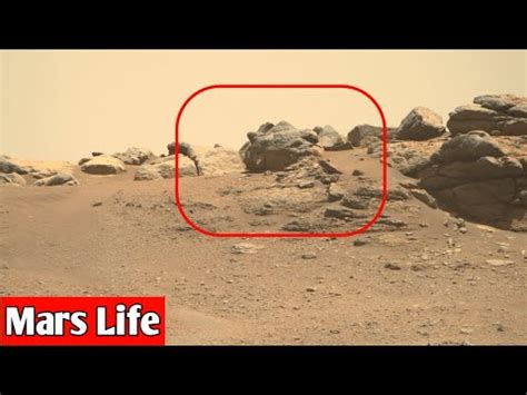 Nasa Perseverance Mars Rover Send Most Amazing Pictures Of Mars Sol