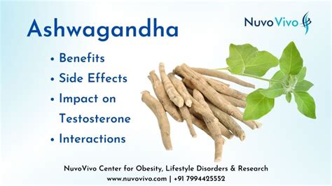 Ashwagandha for muscle growth