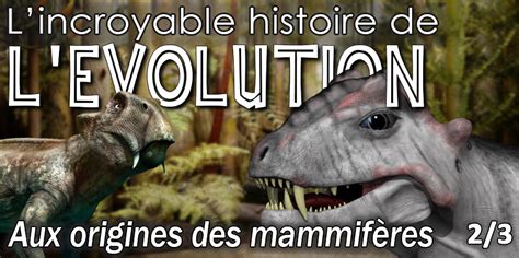 Évolution des mammifères