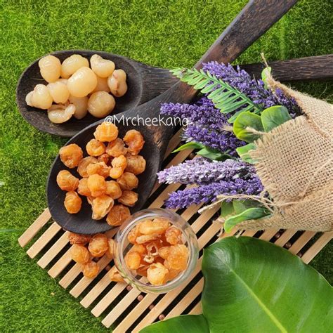 💯 HOT PRODUCT!! 🎁 + 100g Dried Longan, Buah Mata Kucing Kering | Shopee ...