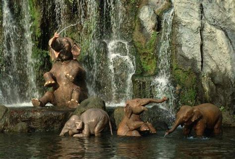 Elephants of the Elephant Bathing Pool | Disney Wiki | Fandom