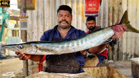 Kasimedu Speed Selvam Barracuda Fish Cutting Video K Video Km