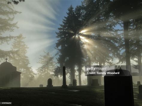 Cemetery In The Fog High-Res Stock Photo - Getty Images