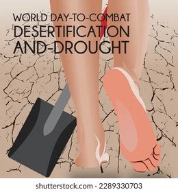 World Day Combat Desertification Drought Poster Stock Vector Royalty