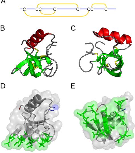 Figure 1 From Self Assembly Of Hydrophobin Proteins From The Fungus Trichoderma Reesei