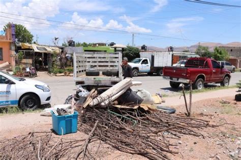 Retira Municipio Cerca De 3 Toneladas De Tiliches Basura Y Restos De