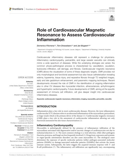 Pdf Role Of Cardiovascular Magnetic Resonance To Assess