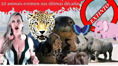 Animais Que Foram Extintos Nos Ltimos Anos Youtube