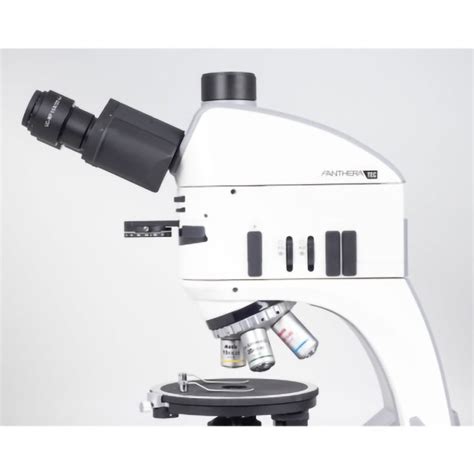 Panthera Tec Pol Epi Trinocular Microscope Laboratory Motic Gem