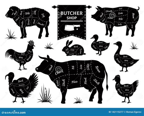 Butcher Diagrams Animal Meat Cuts Cow Pig Rabbit Lamb Rooster