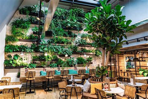 Biophilic Design For Restaurants — Sansa Interiors