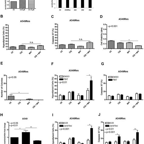 Treatment With Sub Lethal Dose Of Cisplatin Leads To Jarid1b