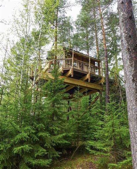 Pin By Ana Maria Ca Ador On Places Tree House Beautiful Tree Houses