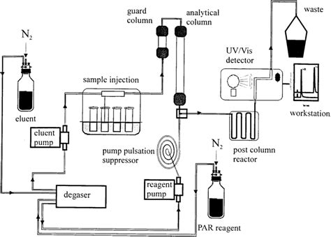 Schematic Diagram Of The High Performance Liquid Chromatographic System Download Scientific