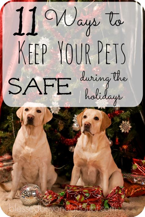 11 Ways To Keep Your Pets Safe During The Holidays Blessed Beyond A