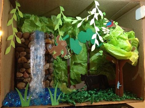 Rainforest Habitat Habitats Projects Rainforest Project