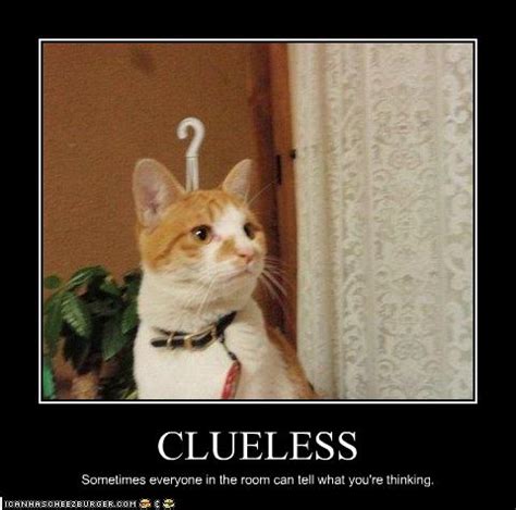 CLUELESS - Cheezburger - Funny Memes | Funny Pictures