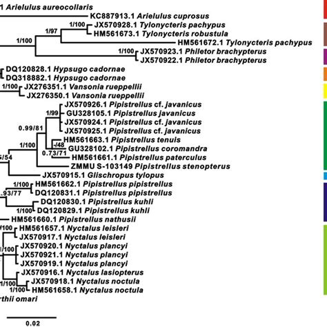 Phylogenetic Ml Tree Reconstructed From Alignment Of The Nuclear Gene