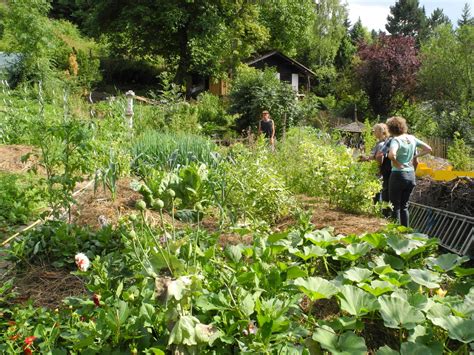 Hortus Insectorum Lebensraum Permakultur