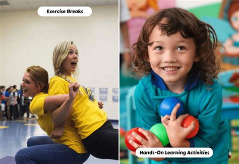 Brain Based Learning Activities Teaching Expertise