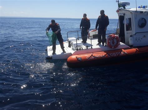 Pesca Illegale Nell Area Protetta Delle Egadi Sequestrati Mila Ricci