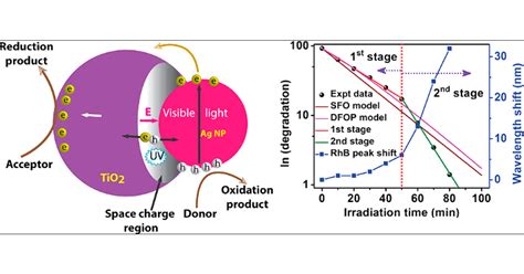 Role Of Surface Plasmons And Hot Electrons On The Multi Step Photocatalytic Decay By Defect