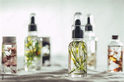 Transparent Bottles Of Essential Oil With Fresh Herbs Stock Foto