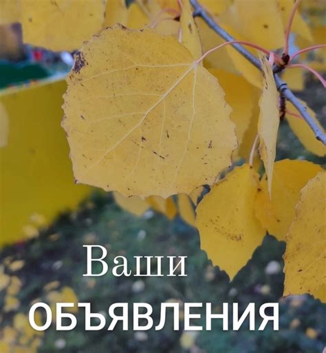 ГУБКИНСКИЙ ГОРОД МЕЧТЫ/ЯНАО | ВКонтакте