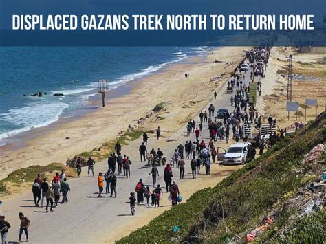 Ppt Displaced Gazans Trek North To Return Home Powerpoint