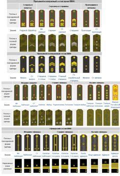 Soviet Army Ranks Insignia Ww Spartan Tree