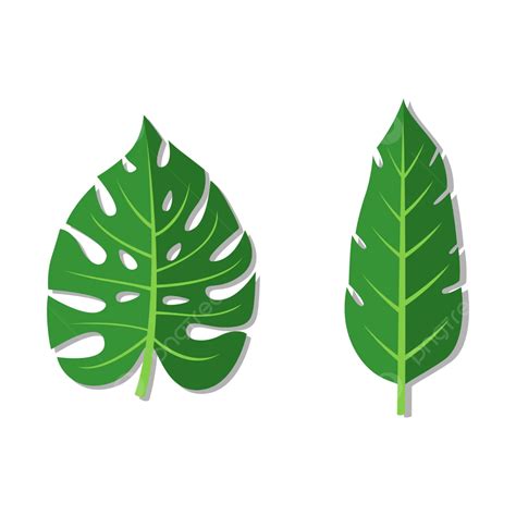 summer leaf flat design clip art vector leaf summer clipart png