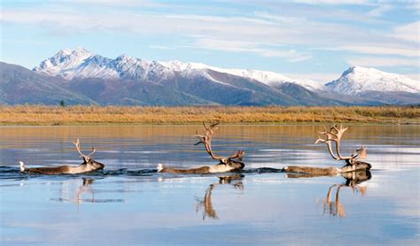 Kotzebue – Northwest Arctic Borough