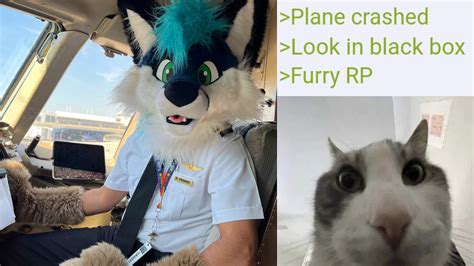 Furry Airplane Pilots Youtube