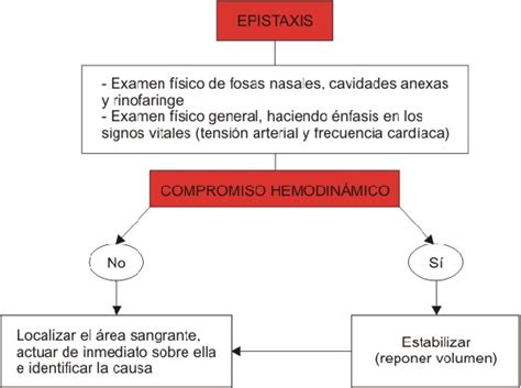 Figure From Epistaxis Consideraciones Sobre El Tratamiento Cl Nico Y