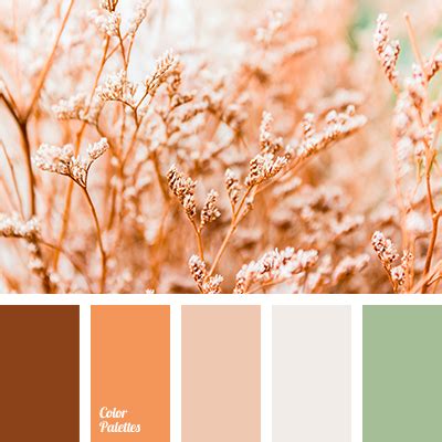 warm shades of beige | Color Palette Ideas