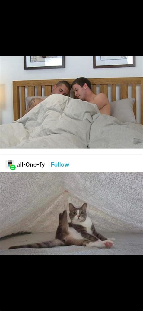 Best Suddenly Gay Images On Pholder Suddenly Gay Suddenlybi