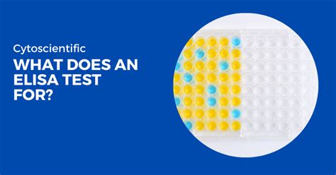 What Does An Elisa Test For