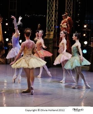 Sleeping Beauty Ballet - A Golden Story