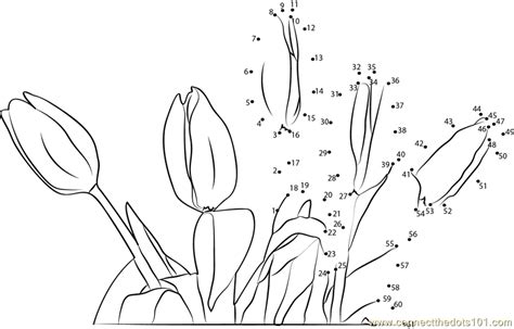 Tulip Flower Dot To Dot Printable Worksheet Connect The Dots