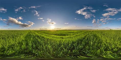 Premium Photo Spherical Hdri Panorama Among Green Grass Farming