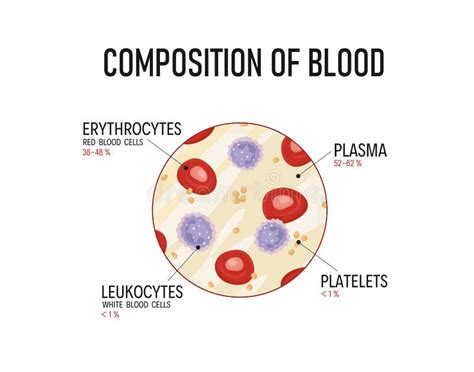 Composition Of Blood Red Blood Cells Lymphocytes Platelets And