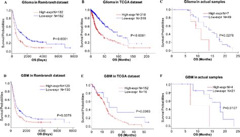 Survival Analysis Of Glioma Based On Cd Expression Higher Cd