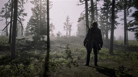This Is Probably My Best Screenshot Ive Gotten So Far Reddeadredemption