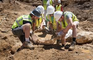 archaeological treasures discovered  building sites