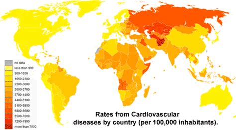 Mortalité Due Aux Maladies Cardiovasculaires Dans Le Monde