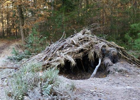 Construisez Un Abri De Survie En Milieu Sauvage