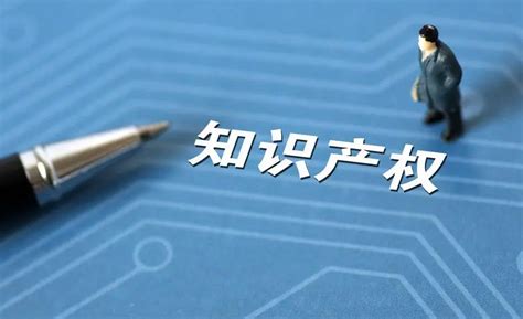 陕西涉外知识产权维权援助西安中心揭牌 西部网（陕西新闻网）