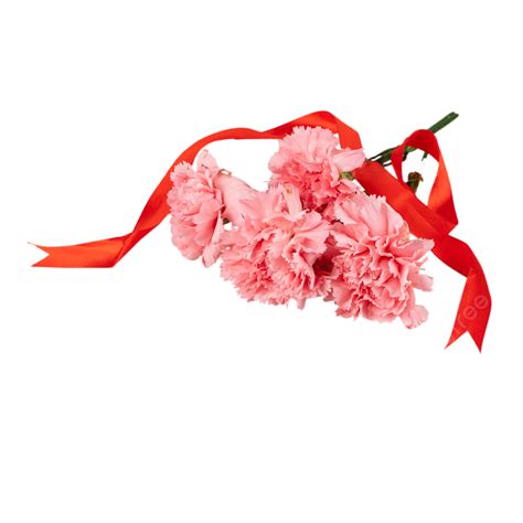 Mothers Day Thanksgiving Mother Carnation Flowers Mother S Day Love